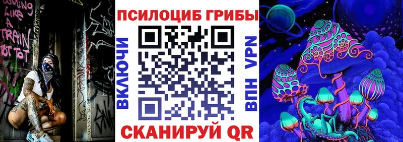 Псилоцибиновые грибы мухоморы  где купить наркотик  Нарьян-Мар 